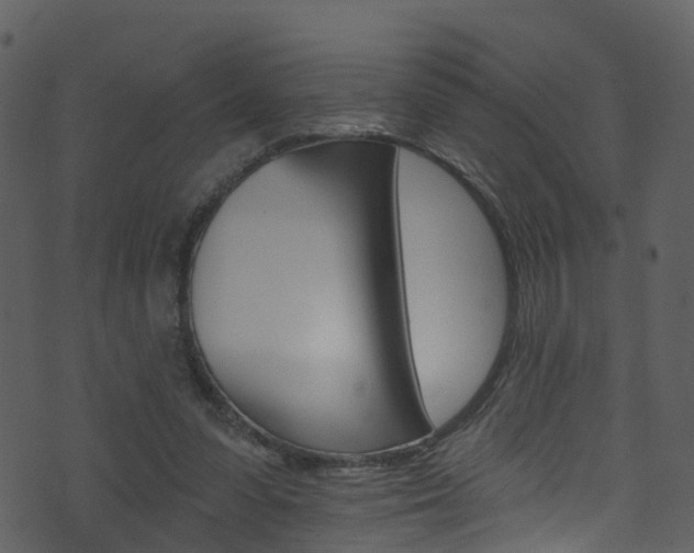 X0000074260303200608250907