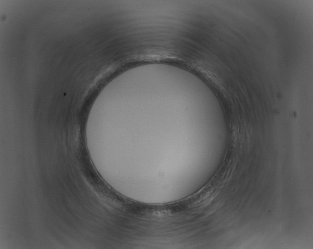 X0000074260304200608250907