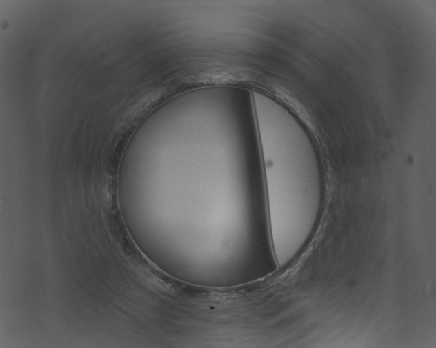 X0000074260305200608250907