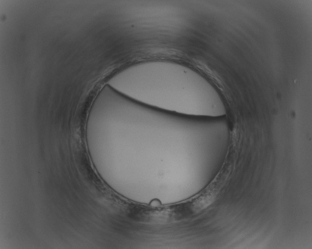 X0000074260306200608250907