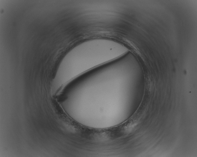 X0000074260307200608250907