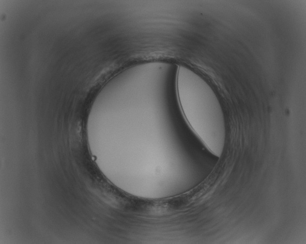 X0000074260308200608250907