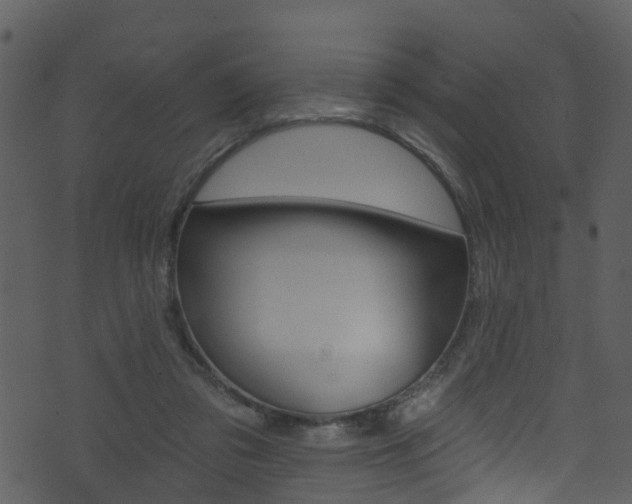 X0000074260309200608250907