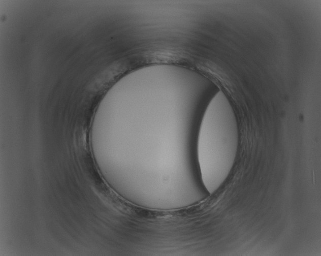 X0000074260310200608250907