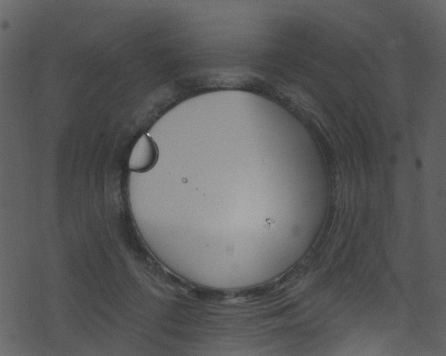 X0000074260312200608250907