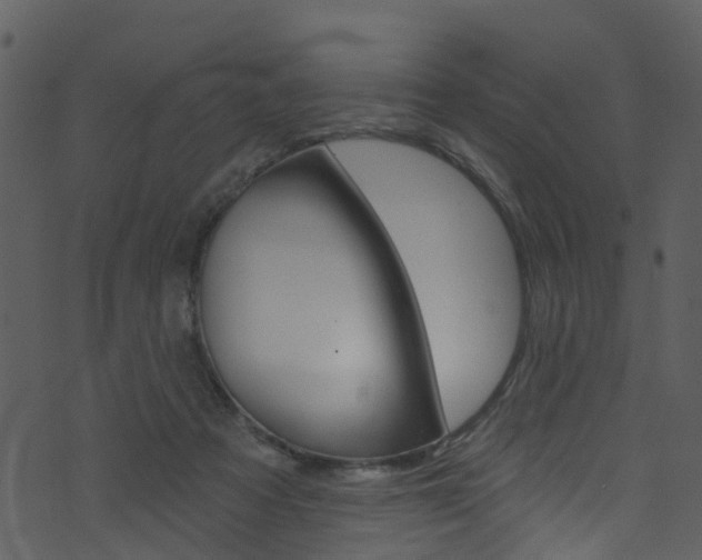 X0000074260313200608250907