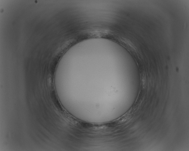 X0000074260314200608250907