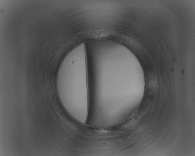 X0000074260315200608250906