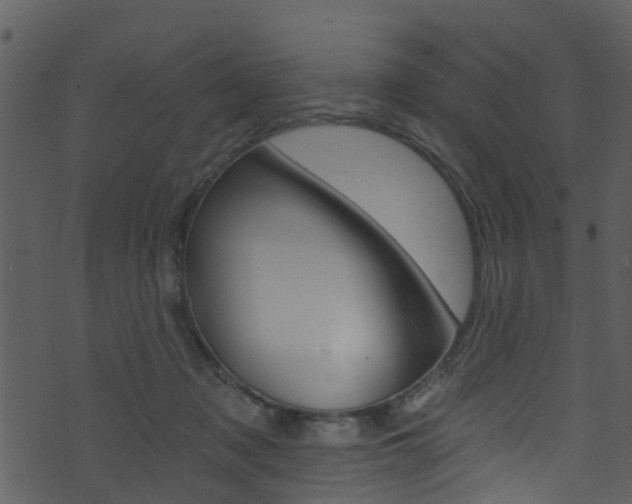 X0000074260317200608250906