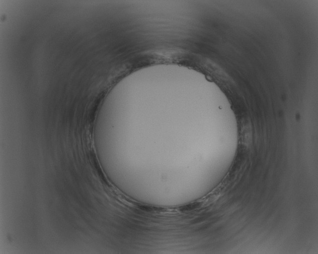 X0000074260318200608250906