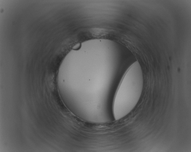 X0000074260319200608250906