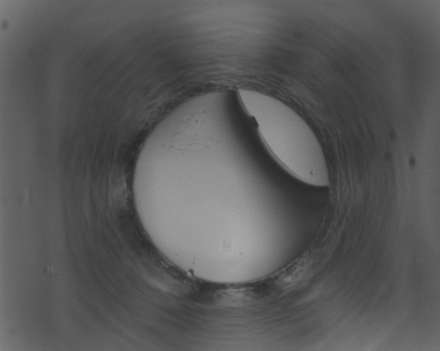 X0000074260320200608250906