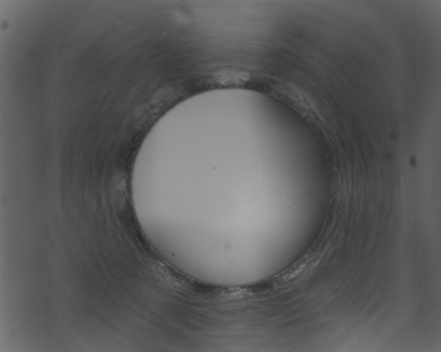 X0000074260321200608250906