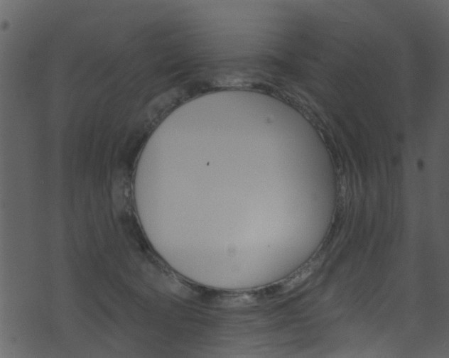 X0000074260322200608250906