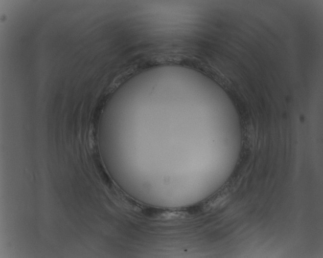 X0000074260323200608250906