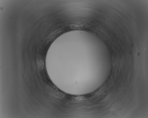 X0000074260324200608250906