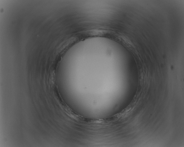 X0000074260325200608250906