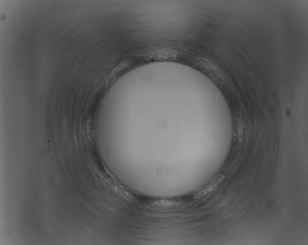 X0000074260326200608250906