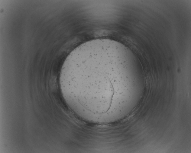 X0000074260327200608250906