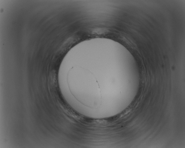 X0000074260328200608250906