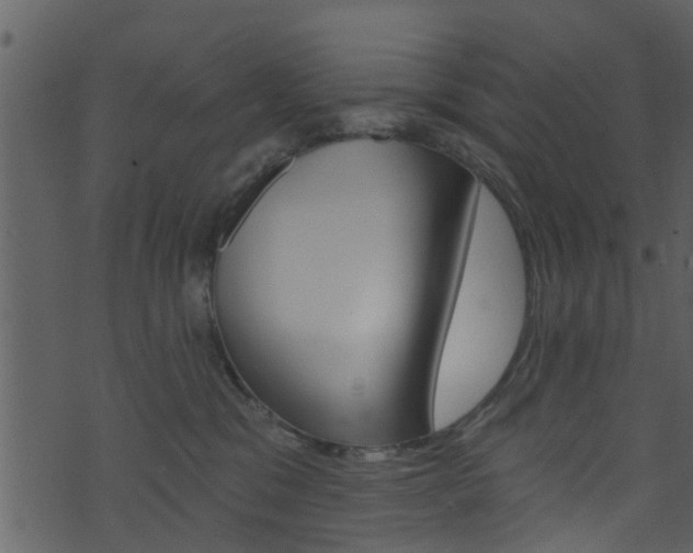 X0000074260329200608250906