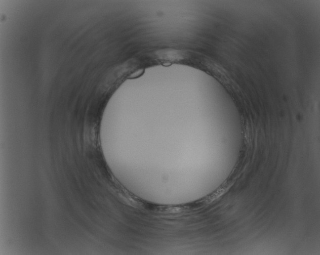 X0000074260330200608250906