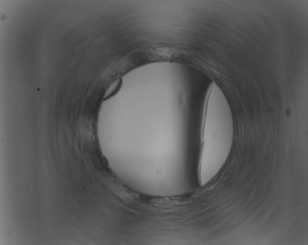 X0000074260331200608250906