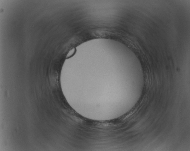 X0000074260332200608250906