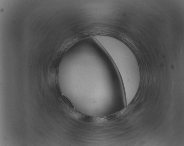 X0000074260333200608250906