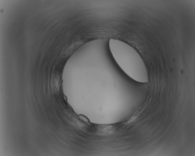 X0000074260334200608250906