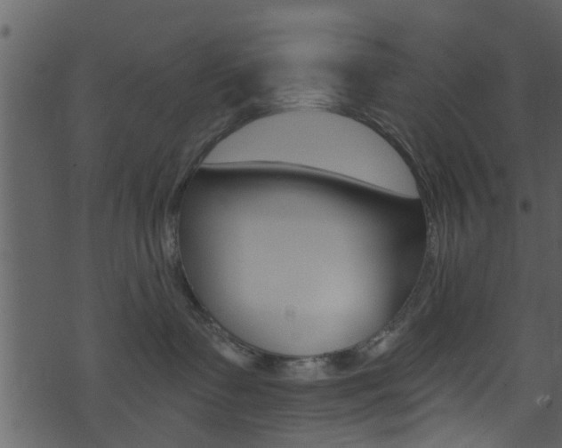 X0000074260335200608250906