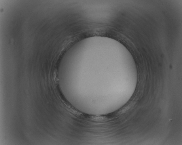 X0000074260336200608250906