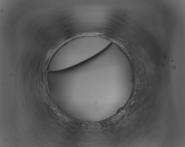 X0000074260337200608250905