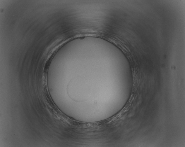 X0000074260338200608250905