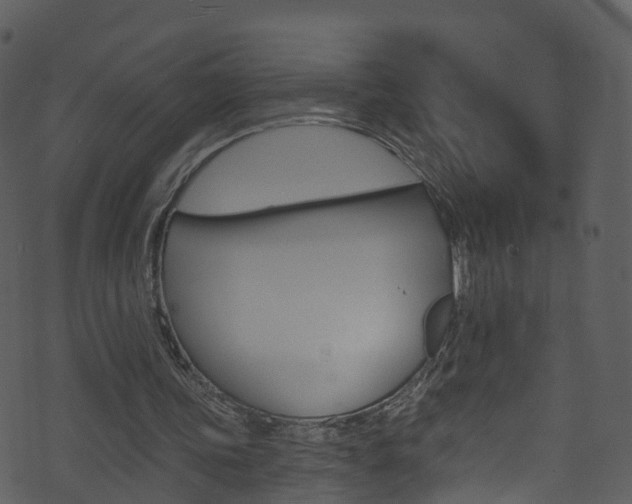 X0000074260339200608250905