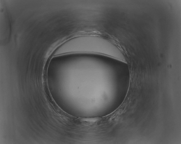 X0000074260340200608250905