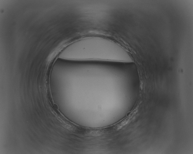 X0000074260341200608250905