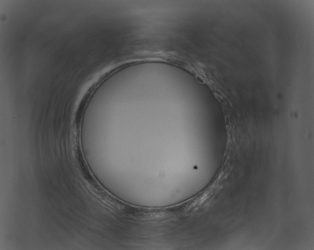 X0000074260342200608250905