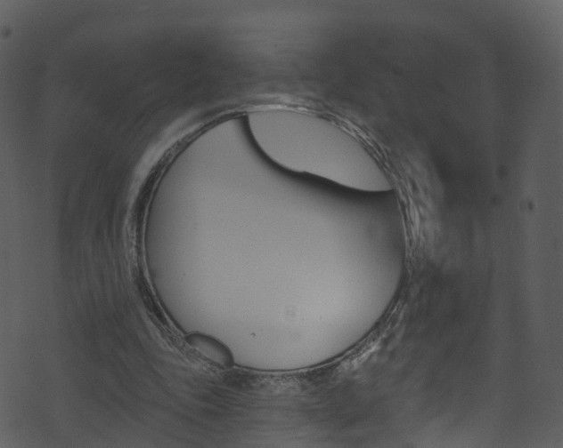 X0000074260343200608250905