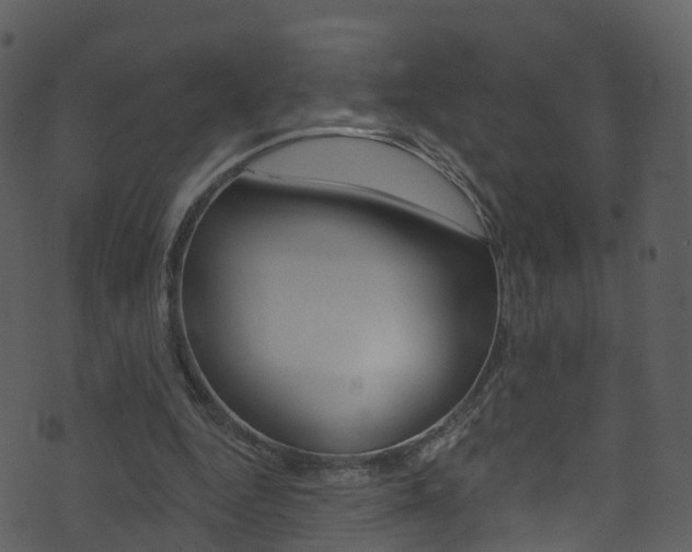 X0000074260344200608250905