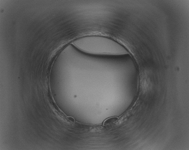 X0000074260345200608250905