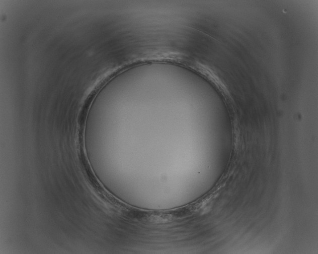 X0000074260346200608250906