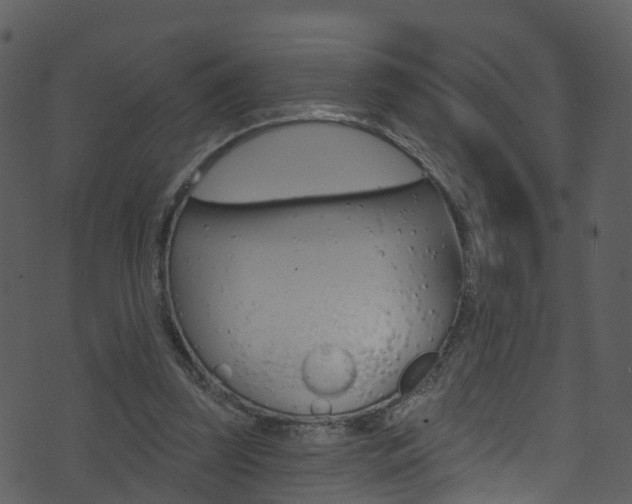 X0000074260347200608250906