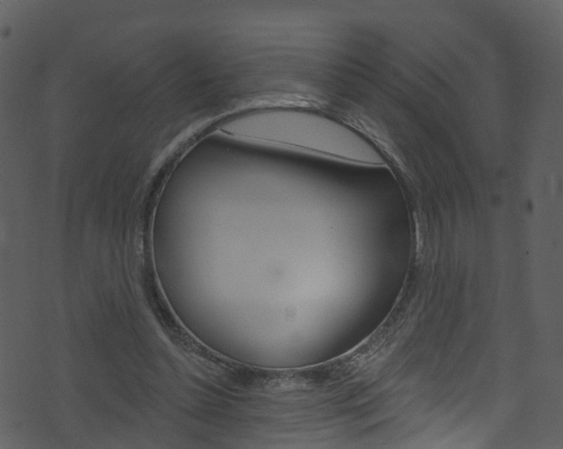 X0000074260348200608250906