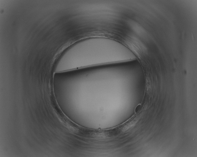 X0000074260349200608250906