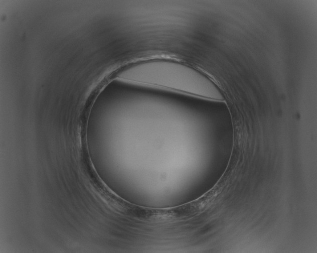 X0000074260350200608250906