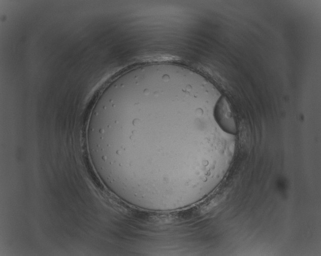 X0000074260351200608250906