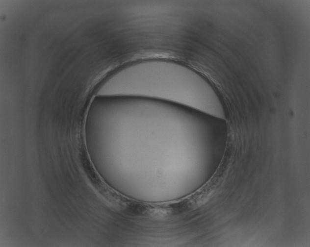 X0000074260352200608250906