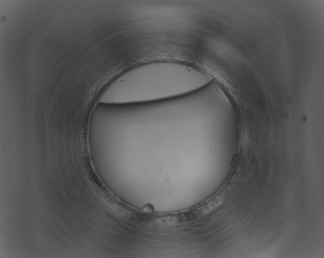 X0000074260353200608250906