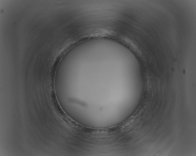 X0000074260354200608250906